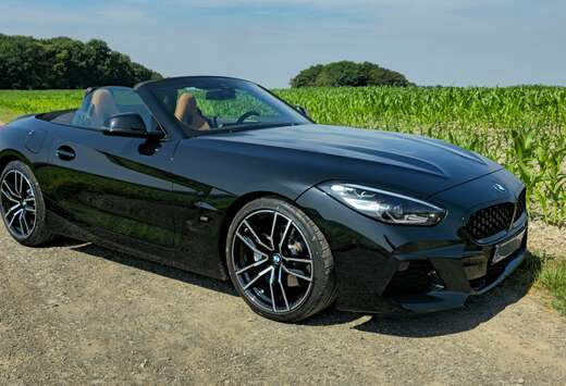 BMW Z4 2.0iAS sDrive20i (EU6AP)