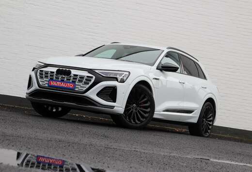 Audi 55 Competition - B&O/AdaptiveCC/Towbar/SOH = 94%