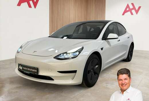 Tesla Standard Plus ** Pano Camera Zetelverwarming