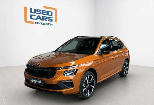 Skoda Monte-Carlo+DSG+LED+LM18+P.Park&Go