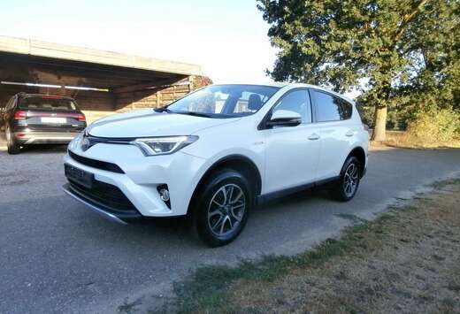 Toyota RAV4 Hybrid 2.5i e-AWD Business Plus CVT