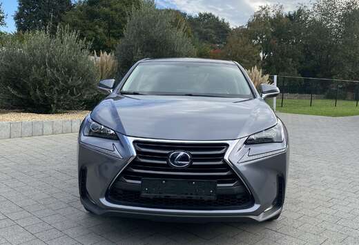 Lexus Lexus NX 300h EXECUTIVE LINE (2017)