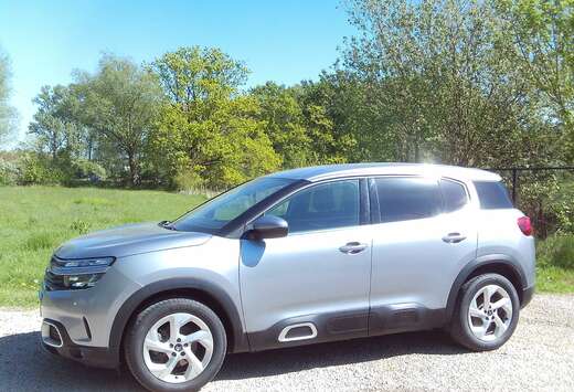Citroen Benzine 75dkm Shine-Pack 18\
