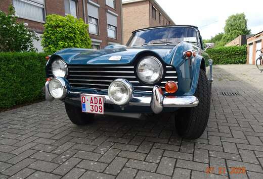 Triumph TR 250