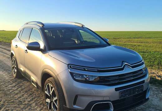 Citroen BlueHDi 130 S&S EAT8 Business