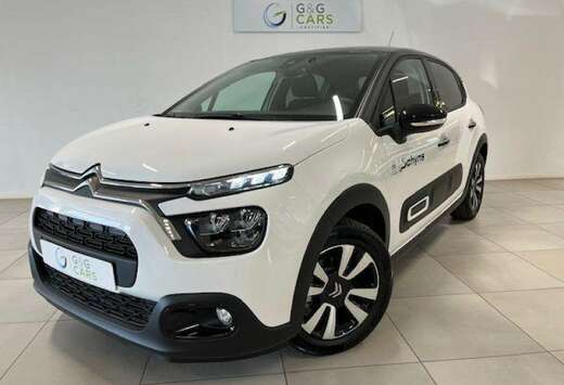 Citroen MAX