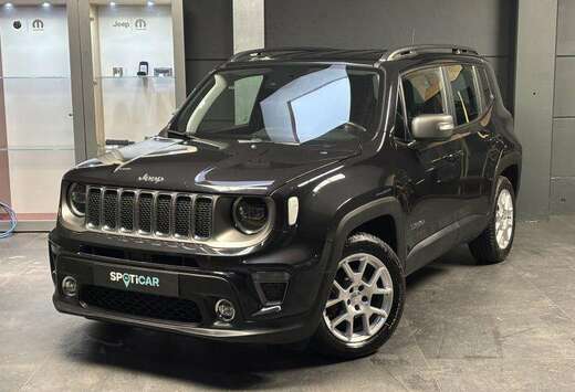 Jeep 1.0 Limited