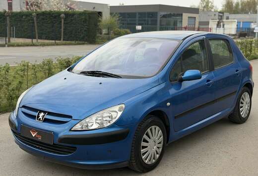 Peugeot Peugeot 307 benzine automaat airco REEDS GEKE ...