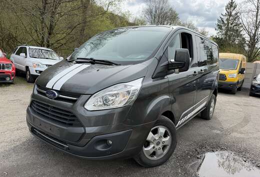 Ford 2.0 TDCi L1H1 Trend 6 Place