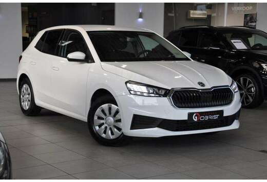 Skoda Led-Carplay-Cruise-Airco-Parkeers.