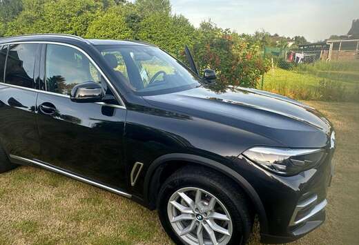 BMW X5 2.0 dA xDrive25 AdBlue (EU6AP)