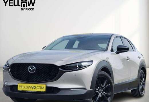 Mazda Nagisa / 2.5i SkyActiv-G MHEV