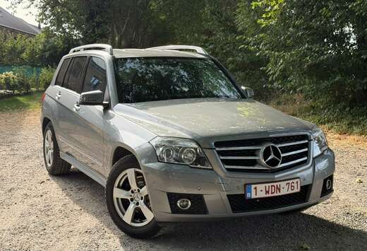 Mercedes-Benz CDI 2WD BE