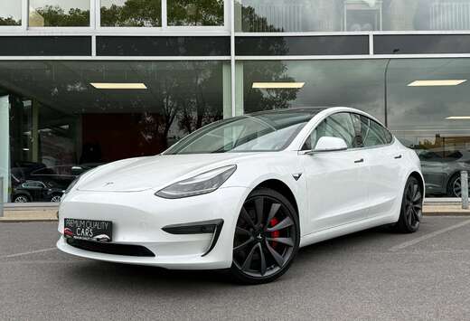Tesla AWD PERFORMANCE / PANO / 360CAM / ZETELVERWARMI ...