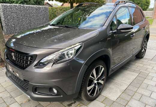 Peugeot 1.6 BlueHDi GT Line S 120 pk Panodak carpass