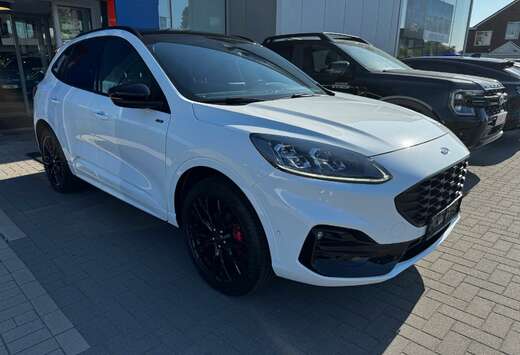 Ford Ford Kuga ST-Line X 2.5i PHEV 225pk Frozen White ...
