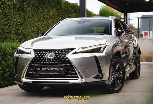 Lexus UX 250h Hybrid /Camera/Alcantara/ACC/Carplay/Bi ...