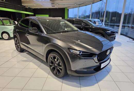 Mazda Nagisa Automaat