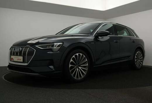 Audi 95kWh 55 Quattro *AUTOMAAT*BRUIN LEDER*CAMERA*PD ...