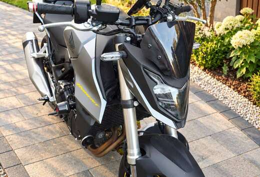 Honda Hornet