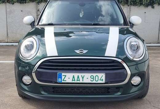 MINI britisch racing green