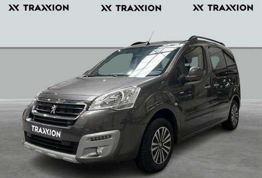 Peugeot Tepee Style