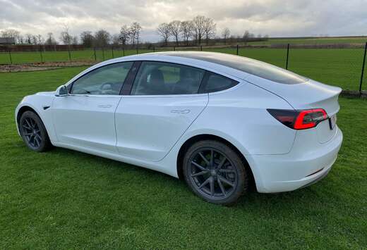 Tesla Tesla model 3 Dual motor Autopilot Winterbanden