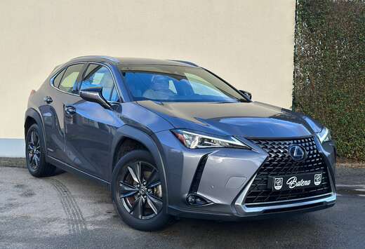 Lexus Leder Camera Zetelverwarming Keyless-Entry