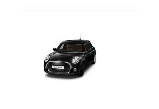 MINI automaat - panodak - leder