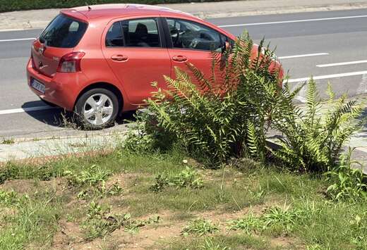 Toyota 1.3i 16v Linea Sol
