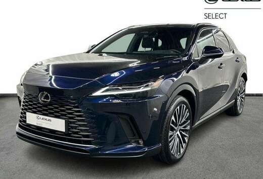 Lexus Executive + Pano