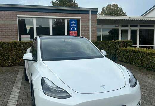 Tesla Model Y Performance Dual Motor AWD