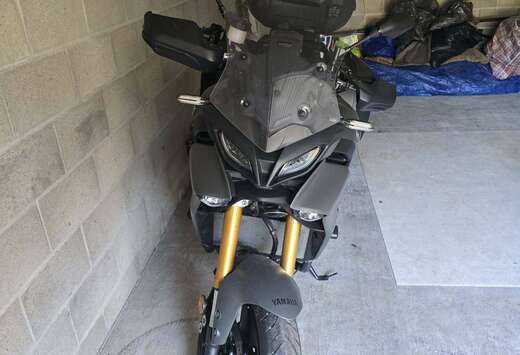 traceur 900 gt plus