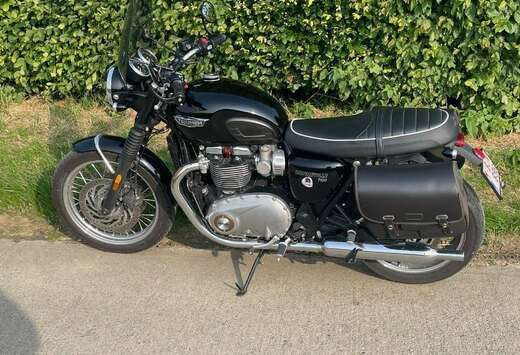 Triumph