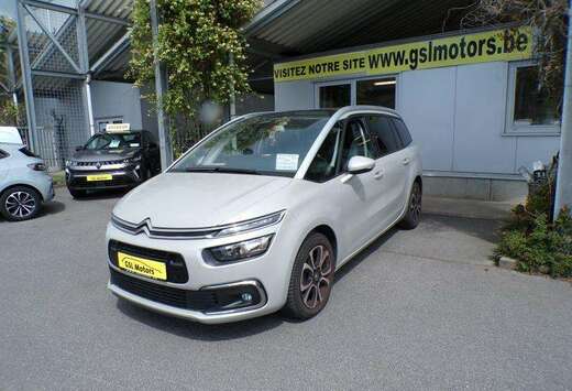 Citroen 1.5HDi 130cv 7pl beige 10/19 71982km Airco GP ...