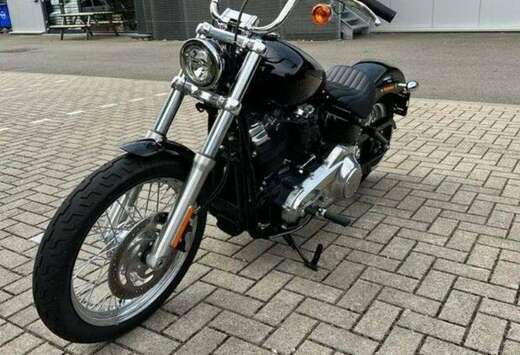 Standard FXST
