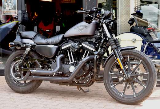 ***MOTO VERTE***