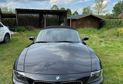 BMW zwART roadster 2.0i