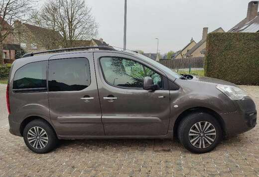 Peugeot Partner Tepee 1.6 BlueHDi Style S