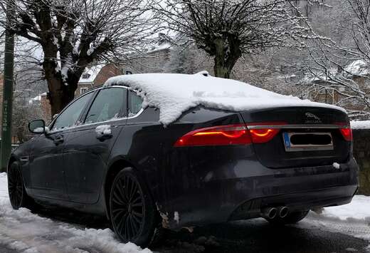 Jaguar XF 20d Aut. Portfolio (Motor panne)