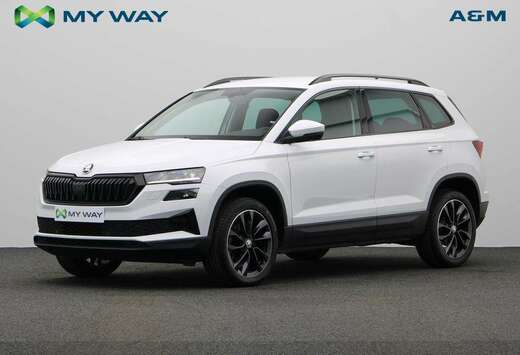 Skoda 2.0 TDI 115 PK DSG AUTOMAAT