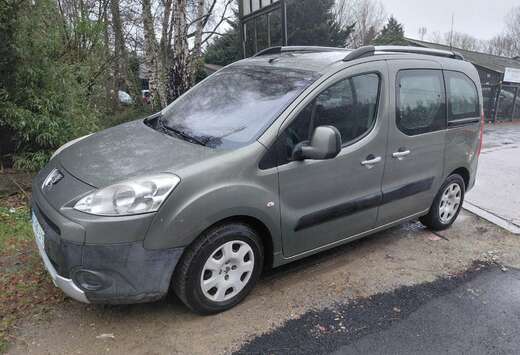 Peugeot Partner Tepee 1.6i Premium