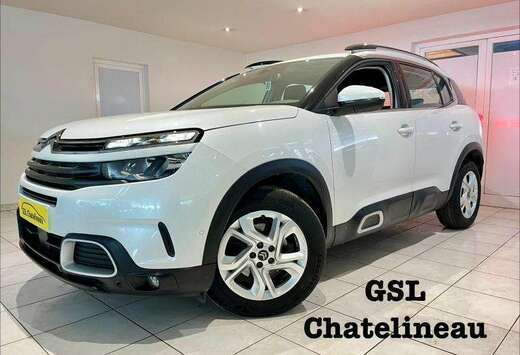 Citroen 1.5HDi 130cv Blanc 2019 Navi/Clim/Cruise/Carp ...