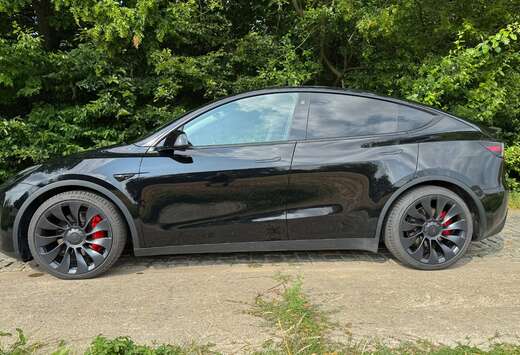 Tesla Performance (393 kW)