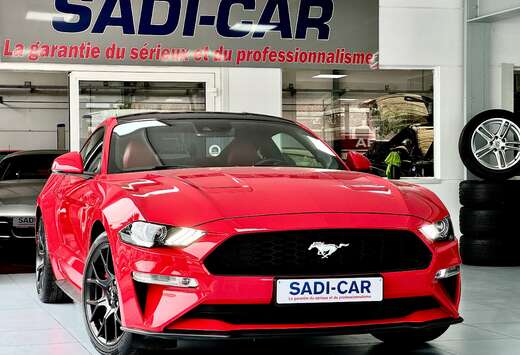Ford 2.3 EcoBoost 290cv - PACKSPORT