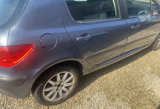 Peugeot 1.6i 16v XS
