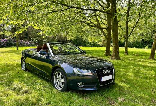 Audi Cabrio 3.0 TDI DPF quattro S tronic