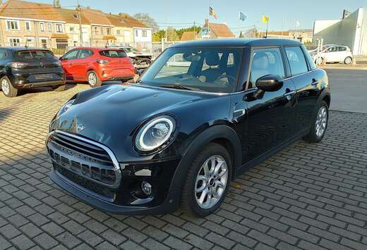 MINI PEPPER Excitement