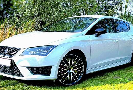 SEAT 2.0 TSI Start&Stop DSG Cupra 290