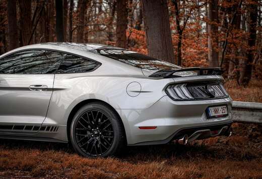 Ford 5.0 Ti-VCT V8 GT